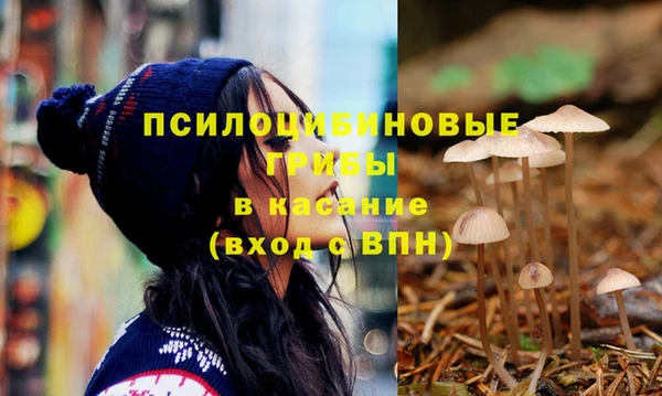 ECSTASY Аркадак