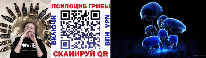 Галлюциногенные грибы прущие грибы  Серафимович 